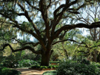 The Rocks-Washington Oaks State Park Travel Forum Reviews