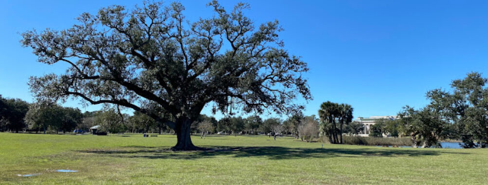 The Singing Oak Travel Forum Reviews