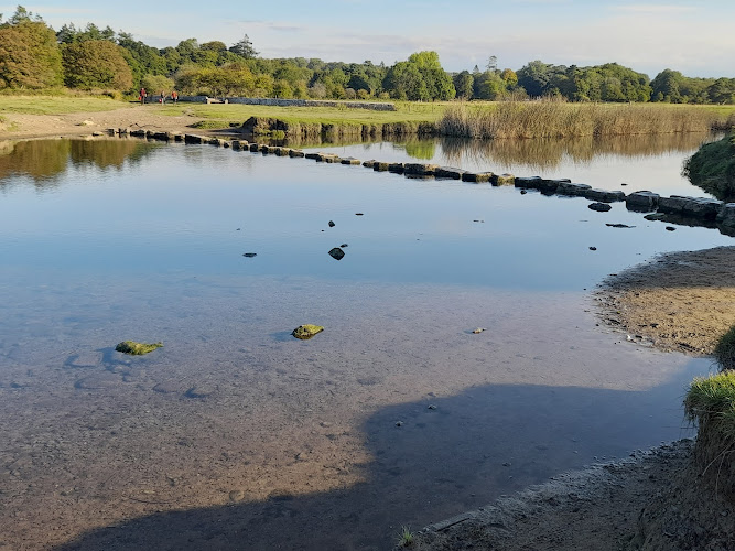 The Stepping Stones