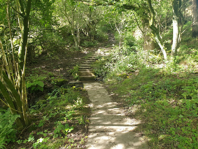The Steps