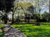 The Three Parks Travel Forum Reviews