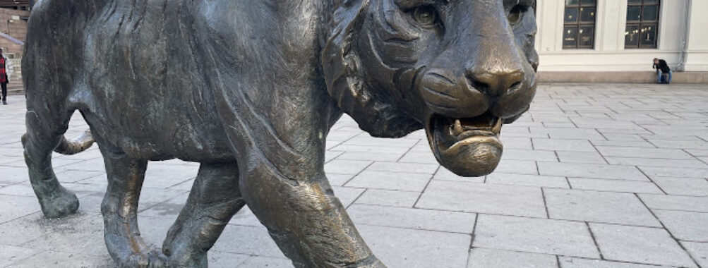 The Tiger Travel Forum Reviews