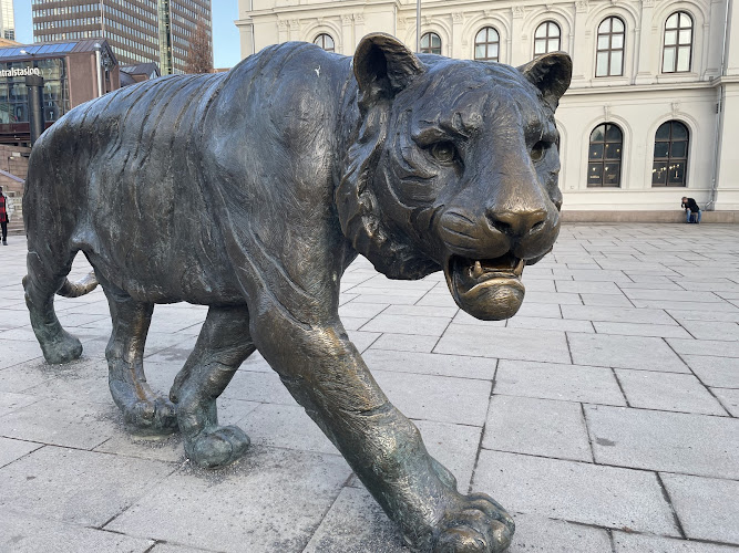 The Tiger