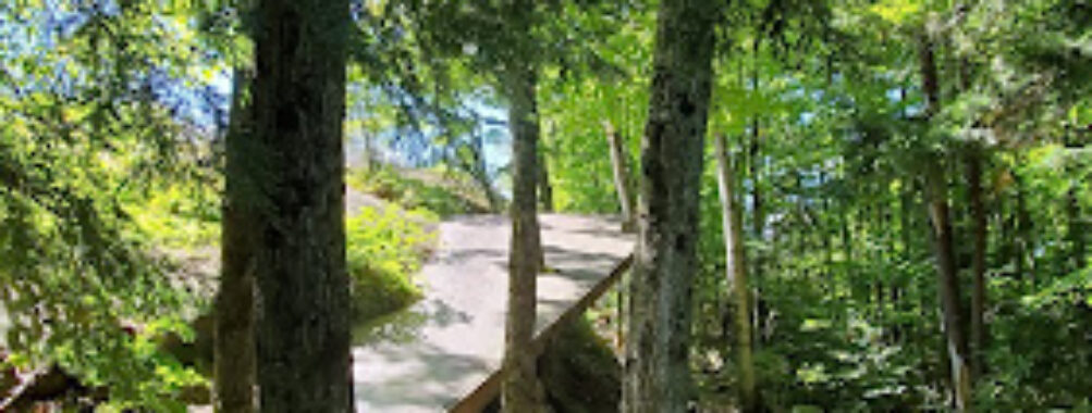 The Tree Museum Travel Forum Reviews
