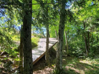 The Tree Museum Travel Forum Reviews
