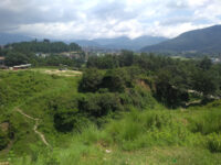 The Umbrella Hill Travel Forum Reviews