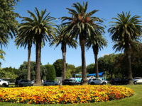 The Victoria Esplanade Travel Forum Reviews