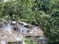 The World Famous Dunn's River Falls & Park Travel Forum Reviews