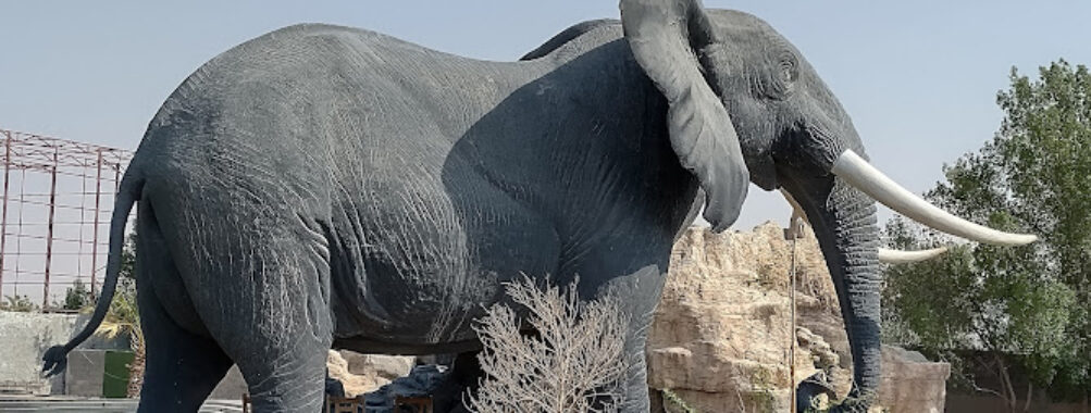 The Zoo Wild Life Park Umm Al Quwain Travel Forum Reviews
