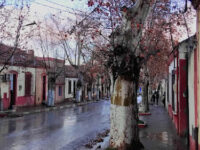 Theniet El Had, Algeria Travel Forum Reviews
