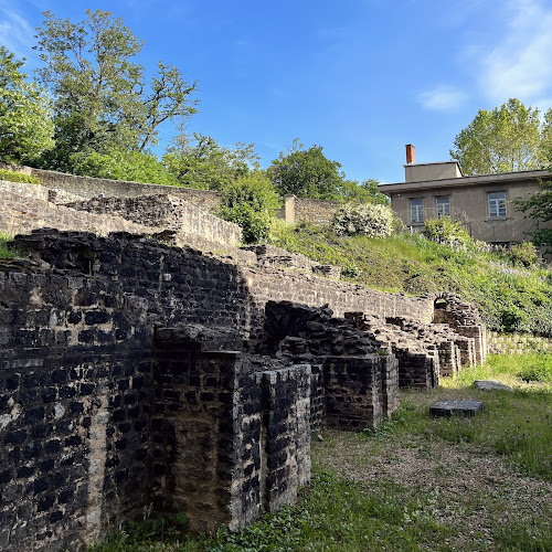 Thermes Antiques de Lyon