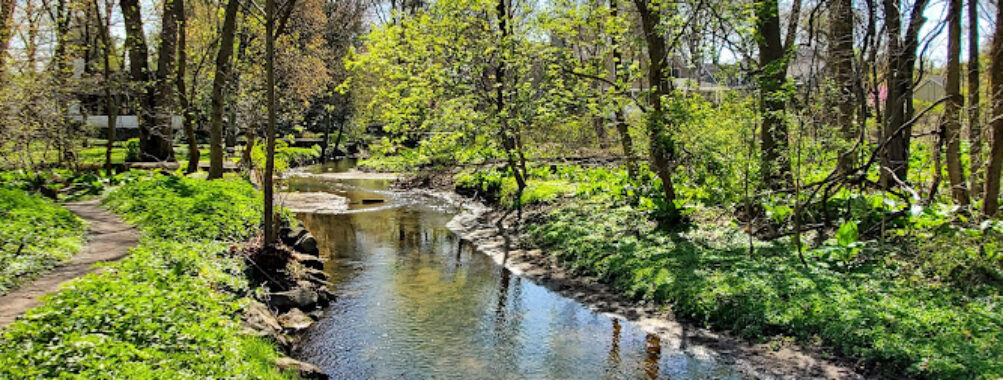 Thielke Arboretum Travel Forum Reviews