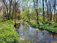 Thielke Arboretum Travel Forum Reviews