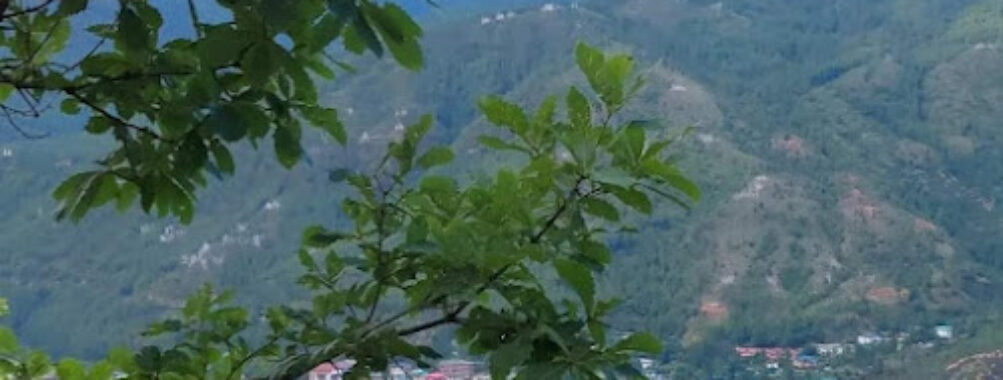 Thimphu Valley Travel Forum Reviews