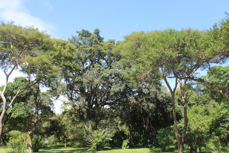 Thohoyandou Botanical Garden