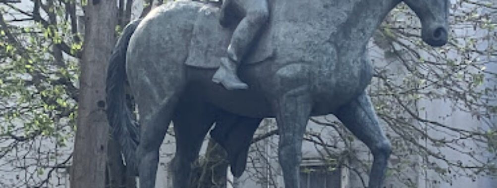 Thomas Francis Meagher Statue Travel Forum Reviews