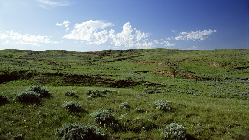 Thunder Basin National Grassland