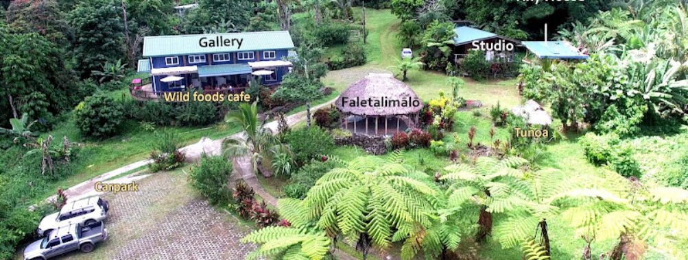 Tiapapata Art Centre Travel Forum Reviews