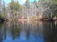 Tidbury Park Travel Forum Reviews