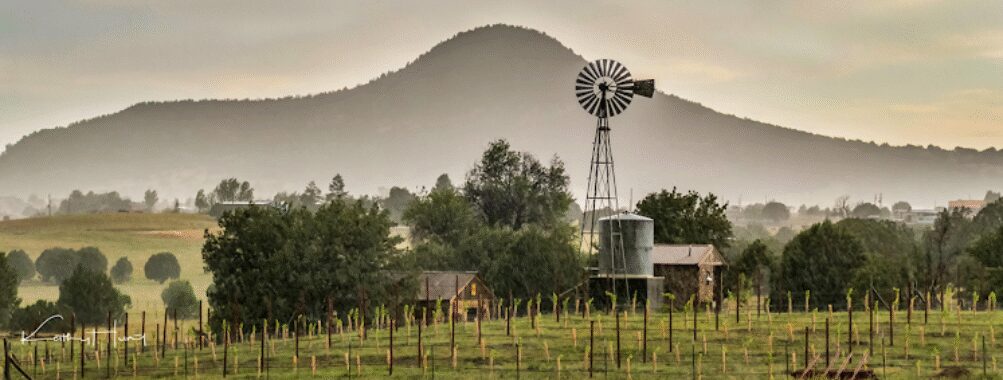 Tierra Madre Vineyards Travel Forum Reviews
