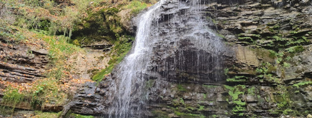 Tiffany Falls Conservation Area Travel Forum Reviews