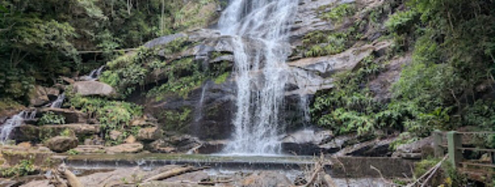 Tijuca National Park Travel Forum Reviews
