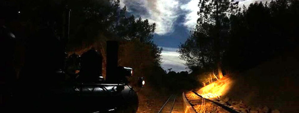 Tilden Park Steam Train at the Redwood Valley Railway Travel Forum Reviews
