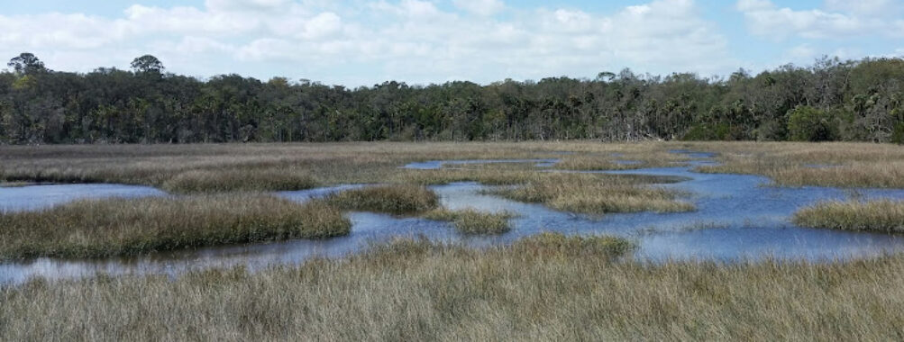 Timucuan Ecological and Historical Preserve Travel Forum Reviews