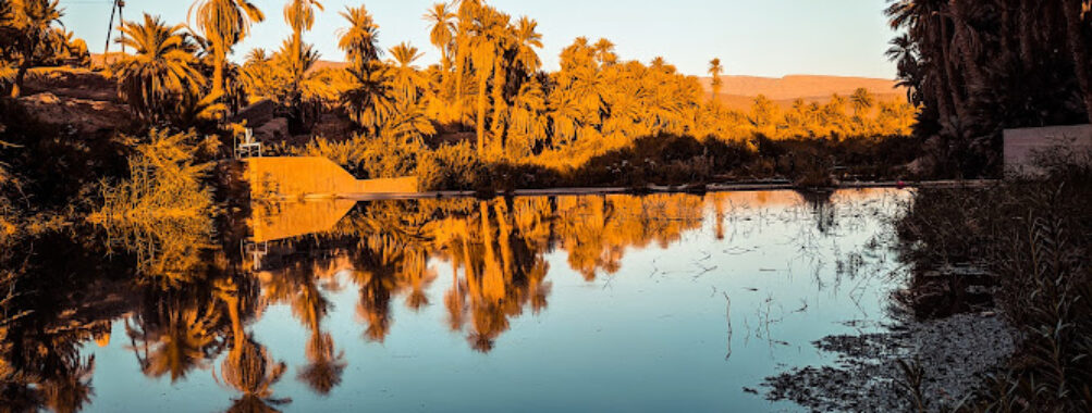 Tindouf Travel Forum Reviews