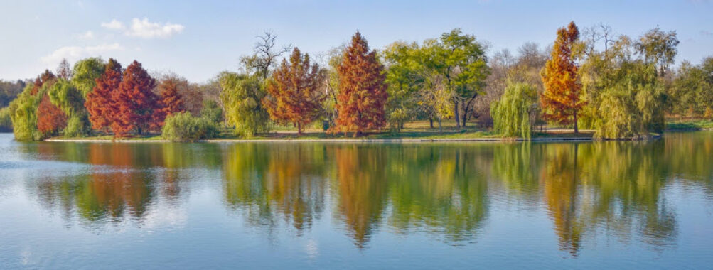 Tineretului Park Travel Forum Reviews