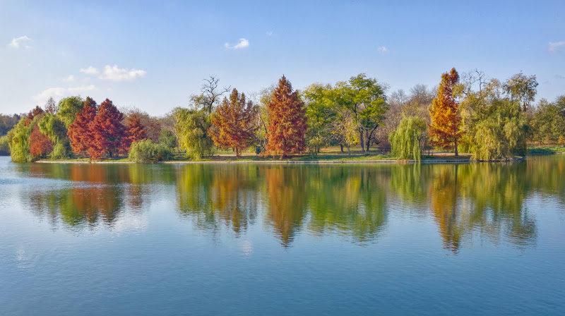 Tineretului Park