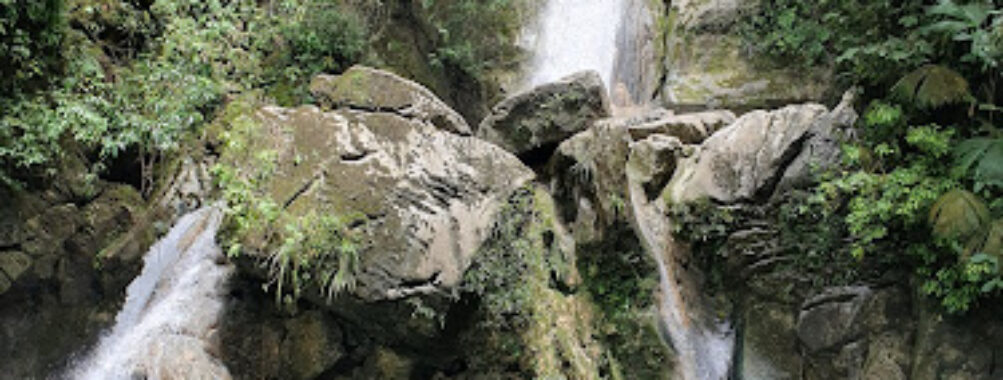 Tingo Maria National Park Travel Forum Reviews