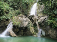 Tingo Maria National Park Travel Forum Reviews