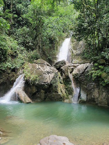Tingo Maria National Park