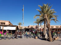 Tinsmiths Square Travel Forum Reviews