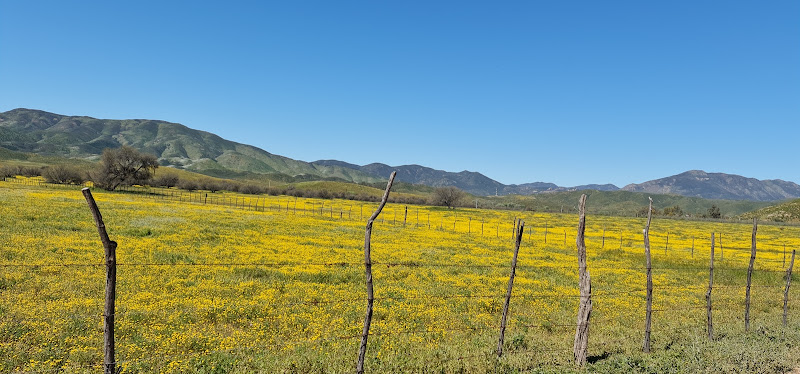 Tiquiza Ranch