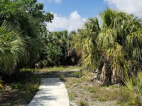 Tivoli Sand and Park Preserve Travel Forum Reviews