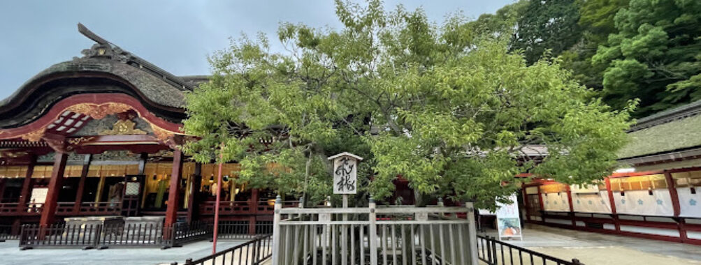 Tobi-ume Travel Forum Reviews