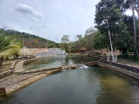 Tobogan de la Selva Travel Forum Reviews