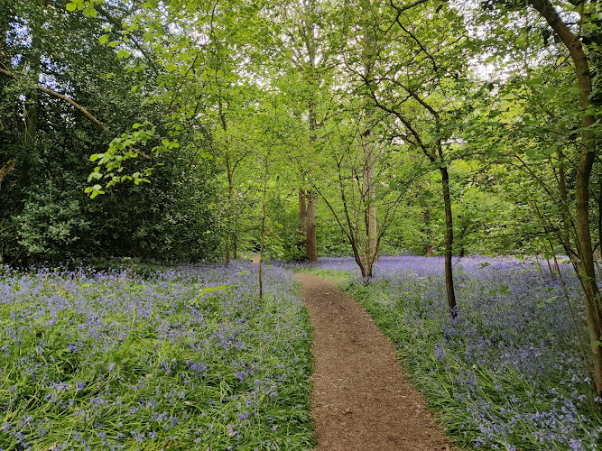 Tocil Wood and Nature Reserve