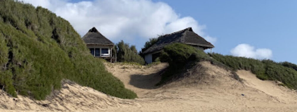 Tofinho Beach Travel Forum Reviews