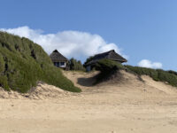 Tofinho Beach Travel Forum Reviews