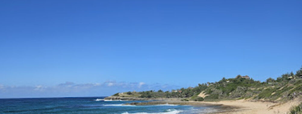 Tofinho Travel Forum Reviews