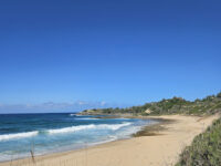 Tofinho Travel Forum Reviews