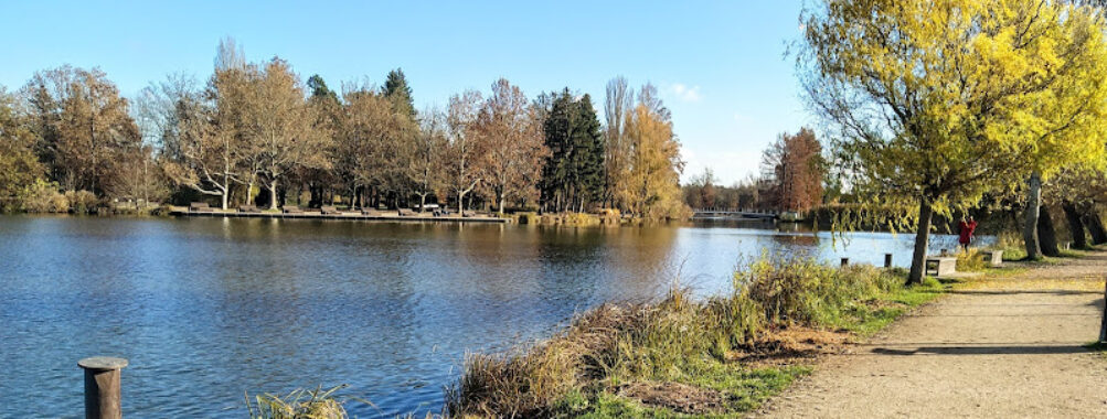 Tófürdő Travel Forum Reviews