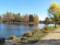 Tófürdő Travel Forum Reviews