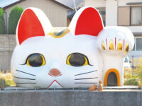 Tokonyan Travel Forum Reviews