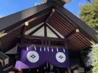 Tokyo Daijingu Shrine Travel Forum Reviews