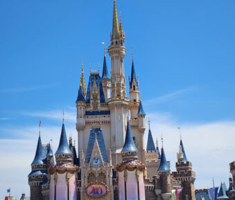 Tokyo Disney Resort Travel Forum Reviews