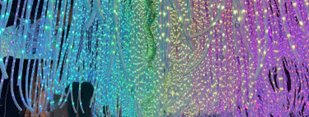Tokyo art city viage Travel Forum Reviews